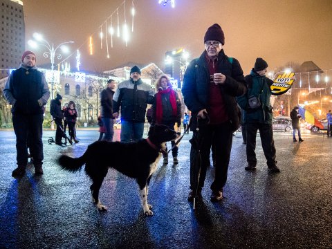 Protest împotriva corupției - Piața Victoriei