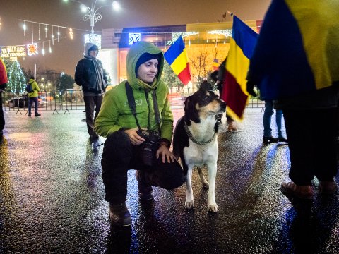 Eli - Protest împotriva corupției - Piața Victoriei