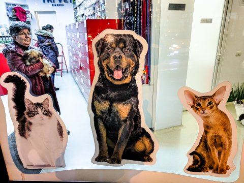 Pet shop - Strada Hristo Botev