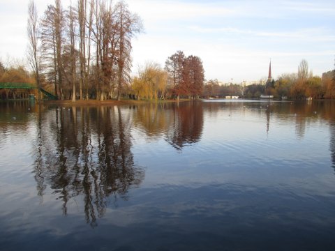 Autumnală