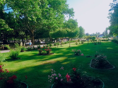 Parc Crangasi