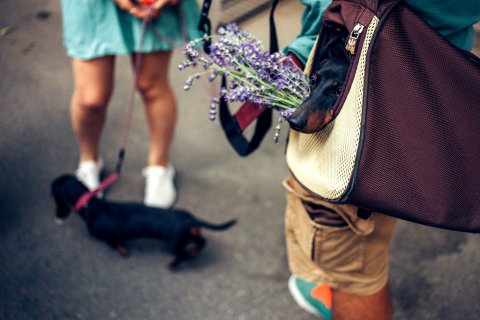 Festivalul Femei pe Matasari