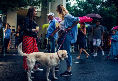 Festivalul Femei pe Matasari