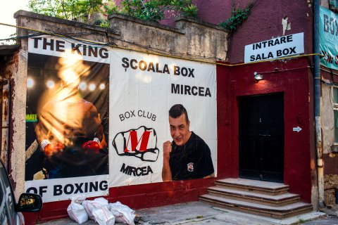 Scoala de box Mircea