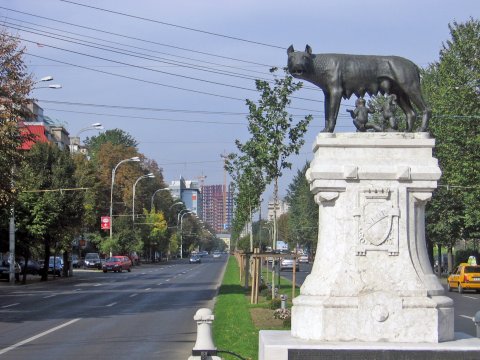 Lupoaica în Piața Romană, 2006