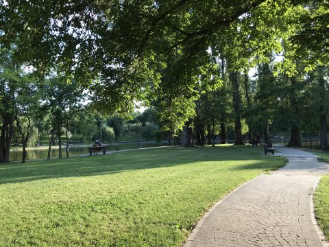 Parcul Titan, Insula Pensionarilor