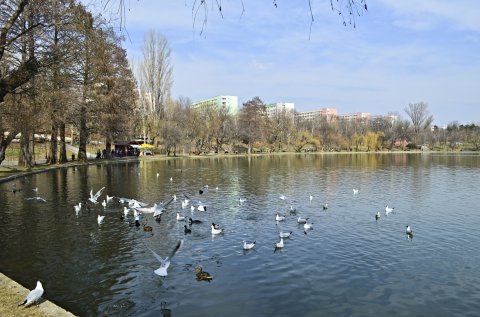 București, anul trecut 2019- expoziție foto