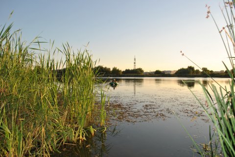 Excursie Bucurestiul meu drag la Delta Vacaresti