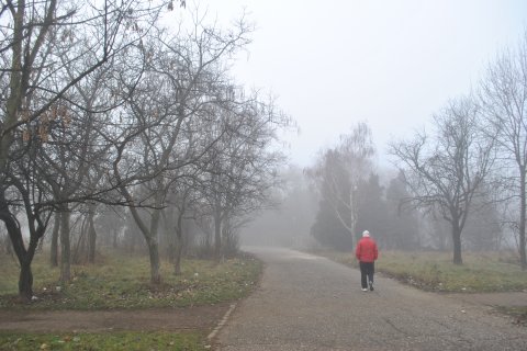 Ceata in parcul IOR