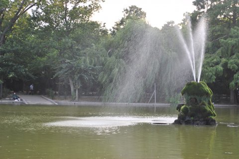 Tur de fotografie in Cismigiu cu Bucurestiul meu drag