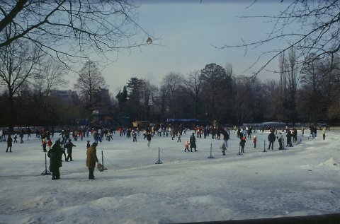 Iarna in Cismigiu