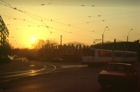 Circul foamei Pieptanari in ruina