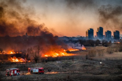 Incendiu Delta Văcărești - 24 februarie 2020