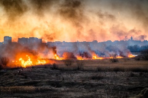 Incendiu Delta Văcărești - 24 februarie 2020