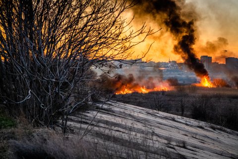 Incendiu Delta Văcărești - 24 februarie 2020