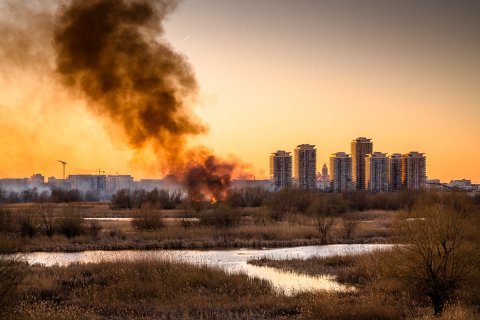 Incendiu Delta Văcărești - 24 februarie 2020