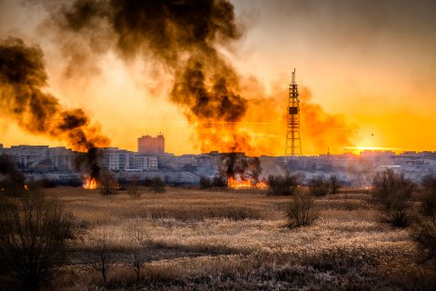 Incendiu Delta Văcărești - 24 februarie 2020