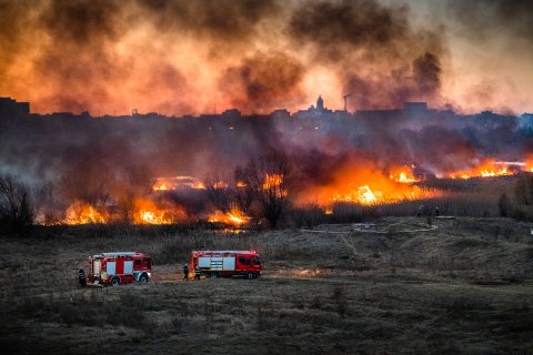 Incendiu Delta Văcărești - 24 februarie 2020