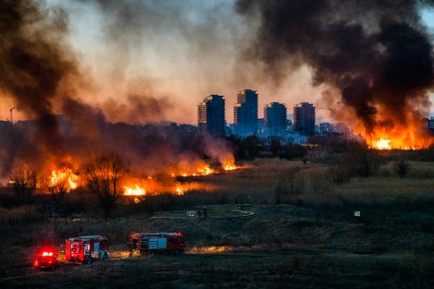 Incendiu Delta Văcărești - 24 februarie 2020