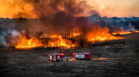 Incendiu Delta Văcărești - 24 februarie 2020