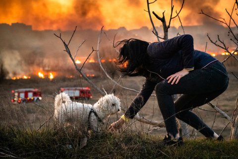 Incendiu Delta Văcărești - 24 februarie 2020