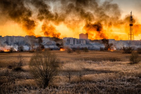 Incendiu Delta Văcărești - 24 februarie 2020