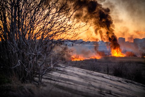 Incendiu Delta Văcărești - 24 februarie 2020