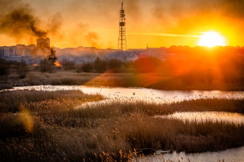 Incendiu Delta Văcărești - 24 februarie 2020