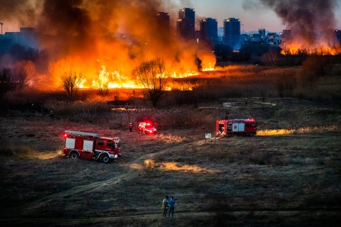 Incendiu Delta Văcărești - 24 februarie 2020