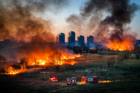 Incendiu Delta Văcărești - 24 februarie 2020