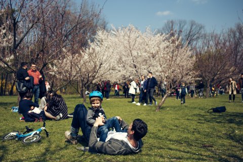 Grădina Japoneză din Herăstrau