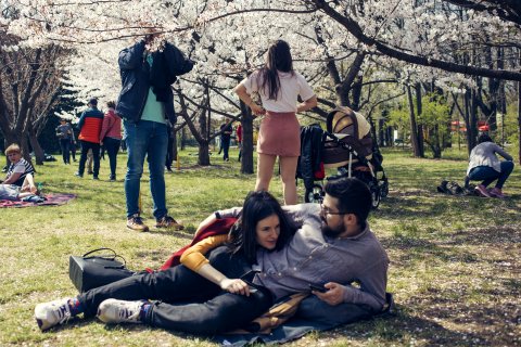 Grădina Japoneză din Herăstrau