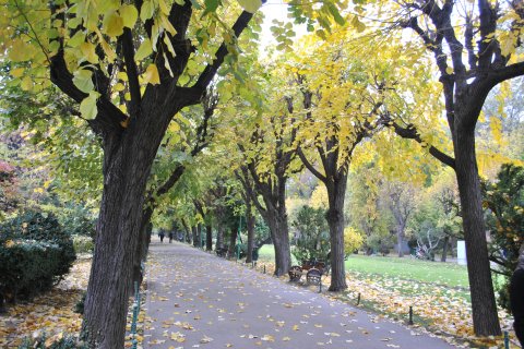 Parcul Cismigiu toamna 2011