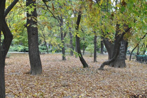 Parcul Cismigiu toamna 2011