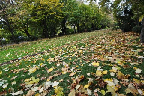 Parcul Cismigiu toamna 2011