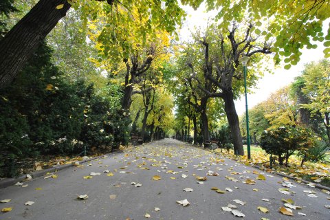 Parcul Cismigiu toamna 2011