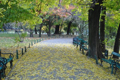 Parcul Cismigiu toamna 2011