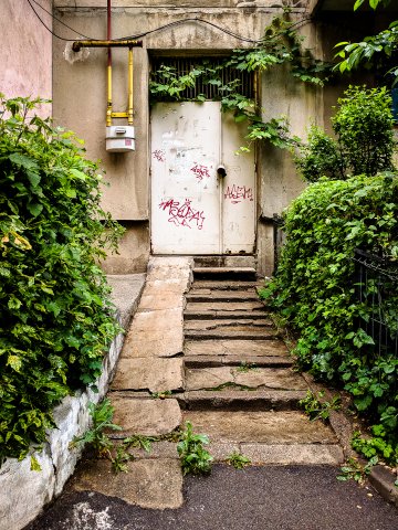 Ghenă inverzită - Strada Vișana