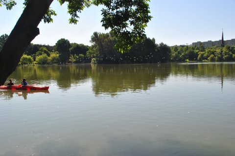 Pescarusi pe parcul IOR