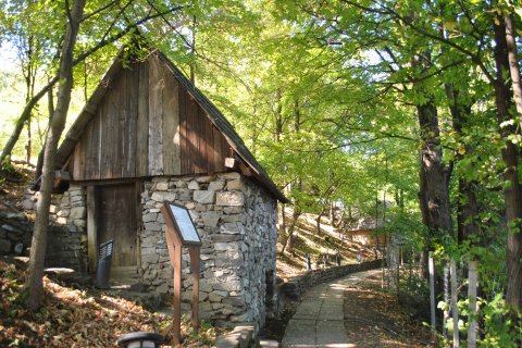 Muzeul Satului