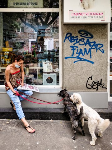 La veterinar - Strada Trestiana