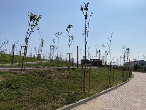 Parcul Teilor după inaugurare (Titanul Nou)