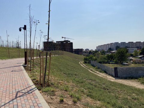 Parcul Teilor după inaugurare (Titanul Nou)