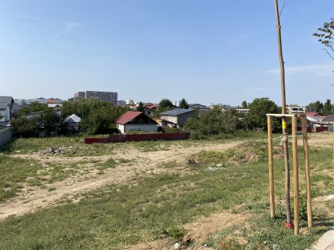 Parcul Teilor după inaugurare (Titanul Nou)