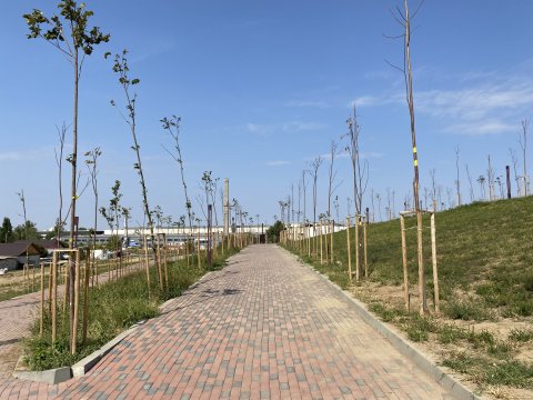 Parcul Teilor după inaugurare (Titanul Nou)