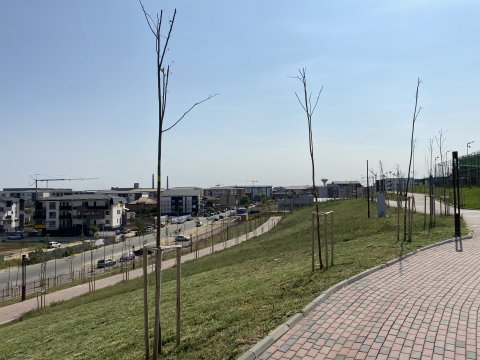 Parcul Teilor după inaugurare (Titanul Nou)