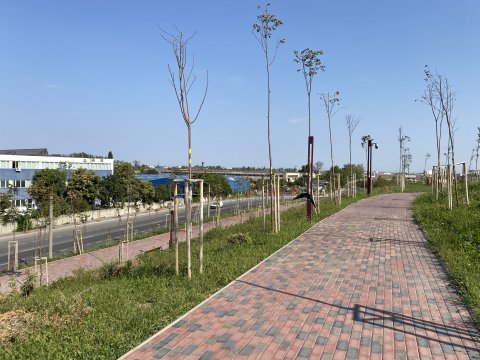 Parcul Teilor după inaugurare (Titanul Nou)