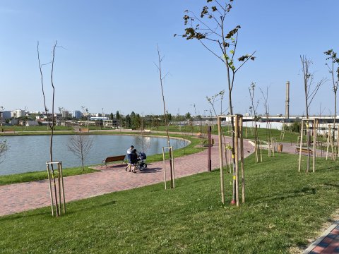 Parcul Teilor după inaugurare (Titanul Nou)