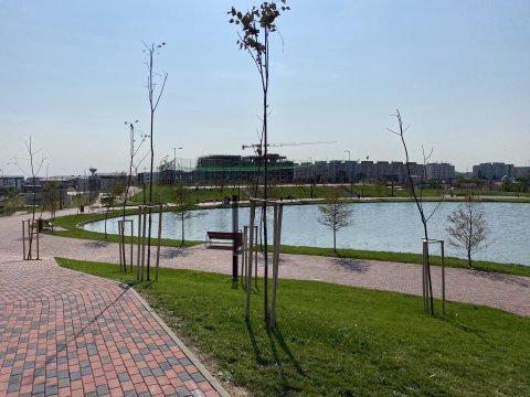 Parcul Teilor după inaugurare (Titanul Nou)