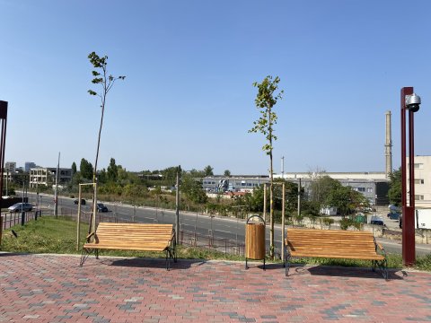 Parcul Teilor după inaugurare (Titanul Nou)